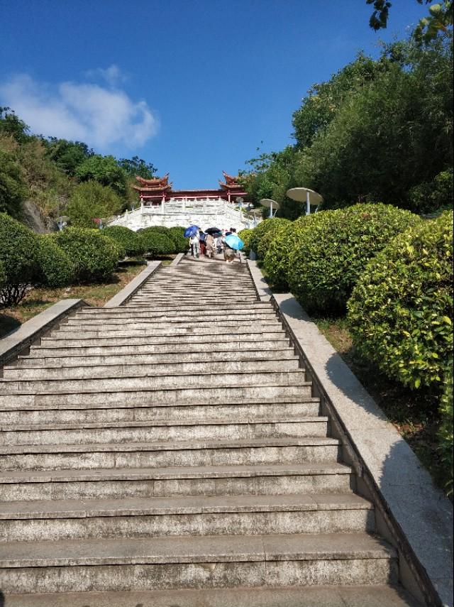刘伯温精准三期内必开196|精选解释解析落实