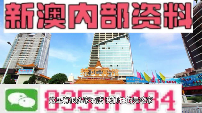 2025新澳资料免费大全一肖,探索未来，2025新澳资料免费大全一肖的独特魅力与机遇