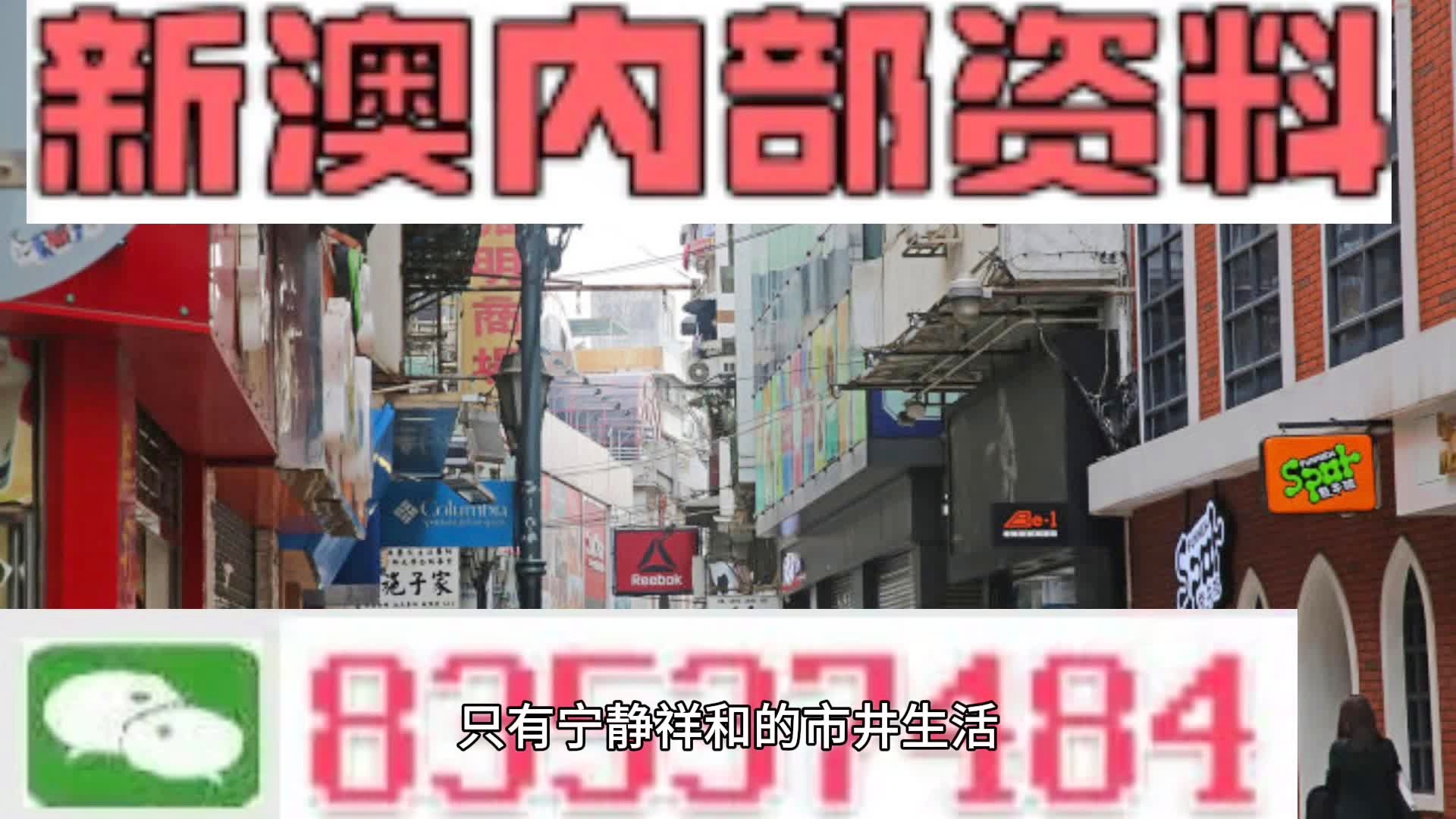 澳门内部王中王精准资料,澳门内部王中王精准资料，揭秘与解读