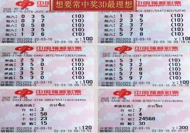 2025澳门今晚开奖号码香港记录,探索彩票奥秘，澳门与香港的彩票记录之旅