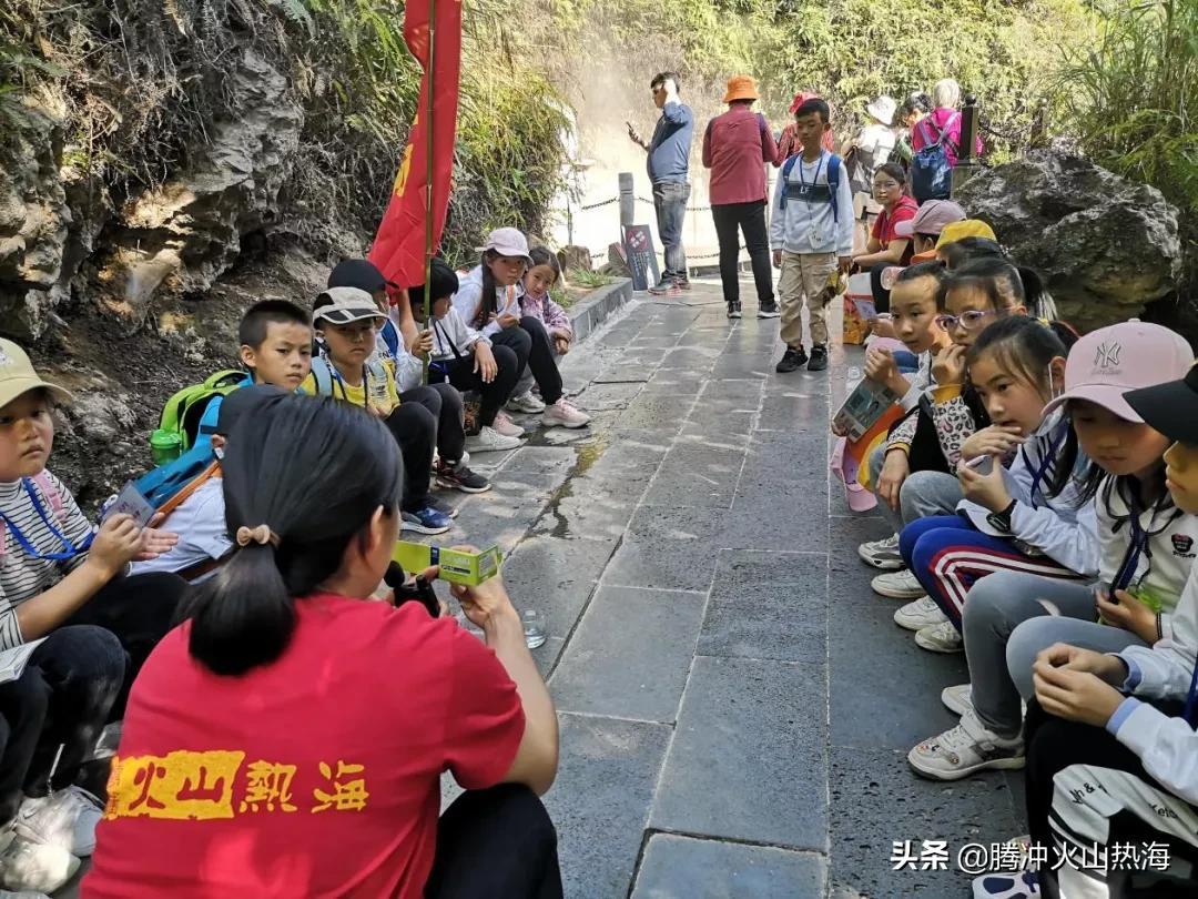 2025正版免费资料,迈向未来的教育之路，探索2025正版免费资料的价值与影响